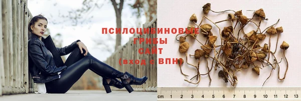герыч Абаза