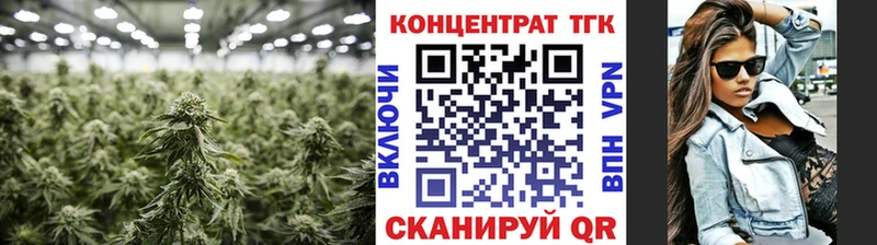 ТГК THC oil  сколько стоит  Нальчик 